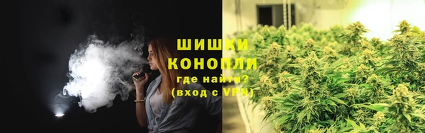 дживик Гусев