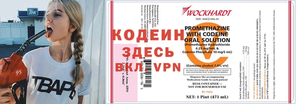дживик Гусев