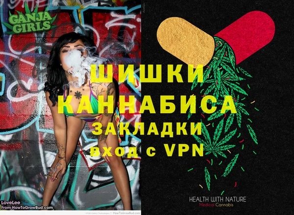 дживик Гусев