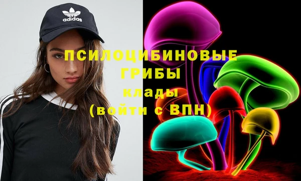 дживик Гусев