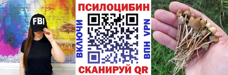 Галлюциногенные грибы мицелий  Купить  Надым 